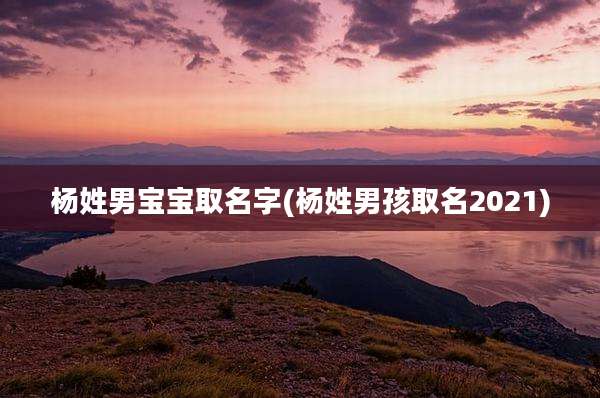 杨姓男宝宝取名字(杨姓男孩取名2021)