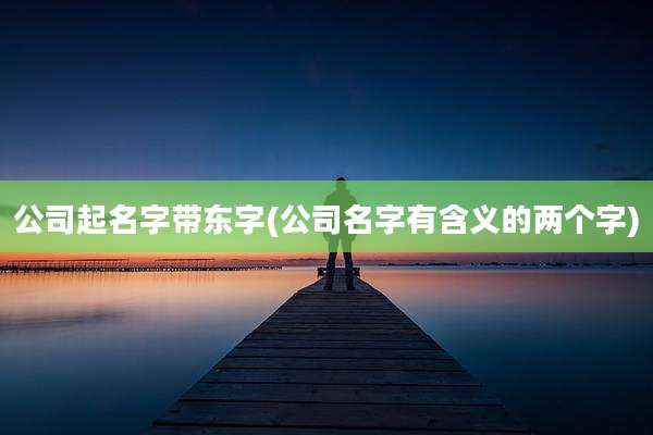 公司起名字带东字(公司名字有含义的两个字)
