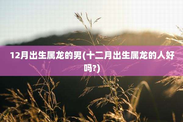 12月出生属龙的男(十二月出生属龙的人好吗?)