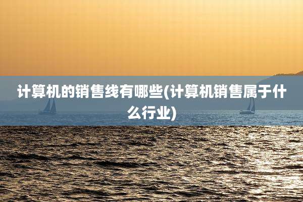 计算机的销售线有哪些(计算机销售属于什么行业)
