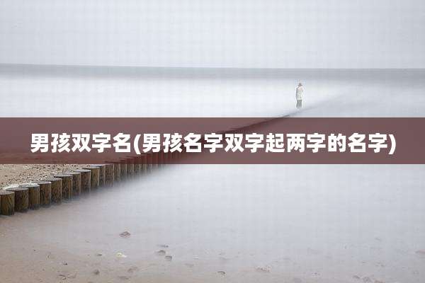 男孩双字名(男孩名字双字起两字的名字)