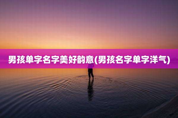 男孩单字名字美好韵意(男孩名字单字洋气)