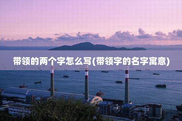 带领的两个字怎么写(带领字的名字寓意)