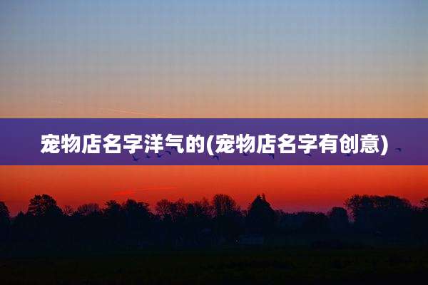 宠物店名字洋气的(宠物店名字有创意)