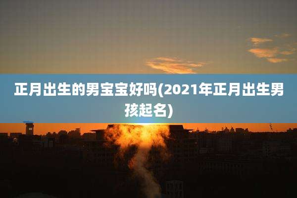 正月出生的男宝宝好吗(2021年正月出生男孩起名)