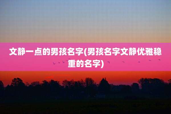 文静一点的男孩名字(男孩名字文静优雅稳重的名字)