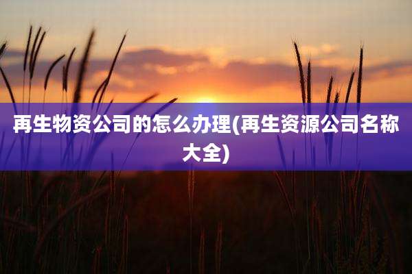 再生物资公司的怎么办理(再生资源公司名称大全)