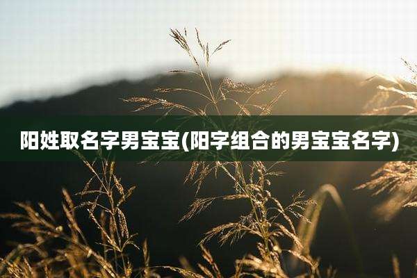 阳姓取名字男宝宝(阳字组合的男宝宝名字)