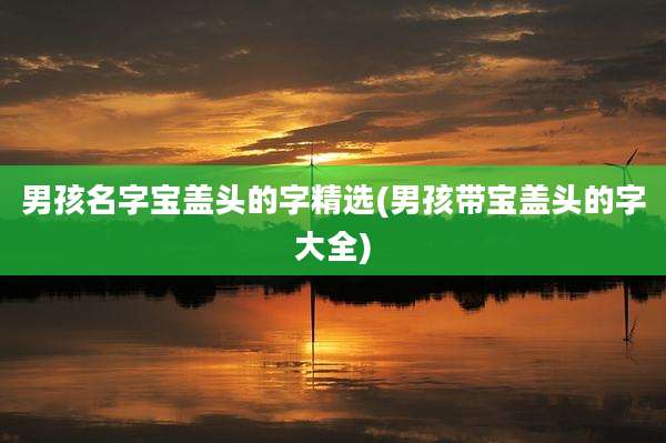 男孩名字宝盖头的字精选(男孩带宝盖头的字大全)