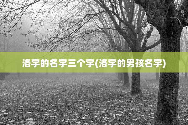 洛字的名字三个字(洛字的男孩名字)