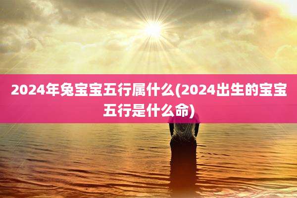 2024年兔宝宝五行属什么(2024出生的宝宝五行是什么命)
