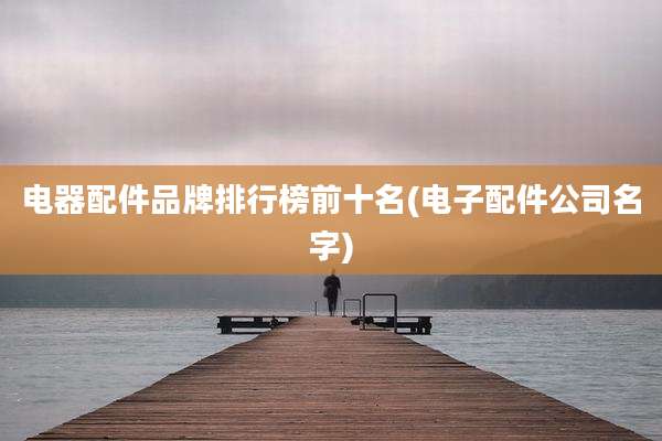 电器配件品牌排行榜前十名(电子配件公司名字)