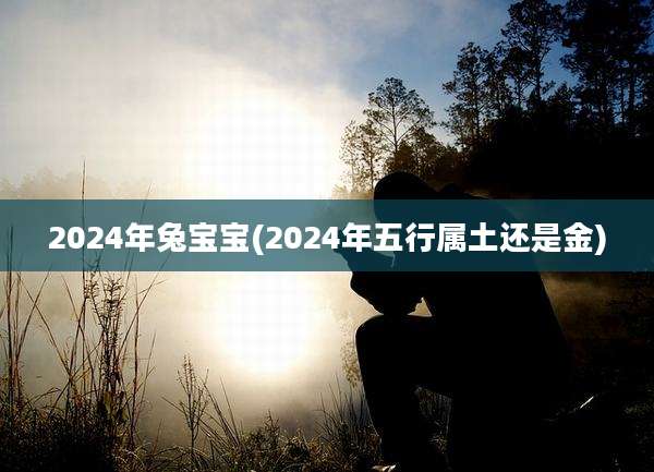 2024年兔宝宝(2024年五行属土还是金)