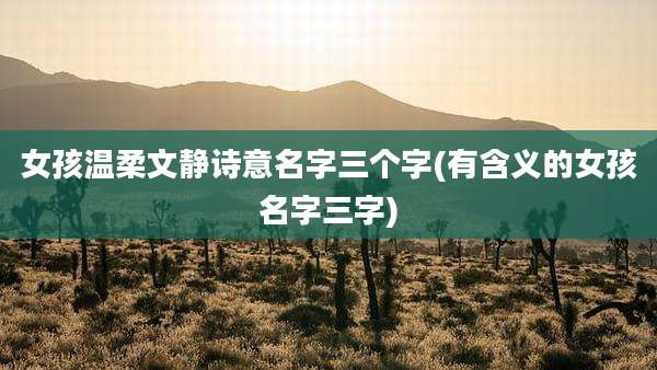 女孩温柔文静诗意名字三个字(有含义的女孩名字三字)