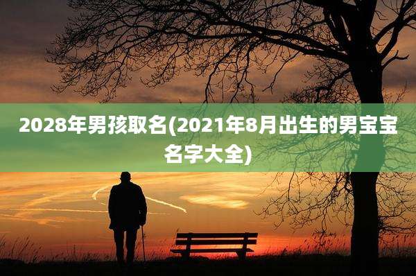 2028年男孩取名(2021年8月出生的男宝宝名字大全)