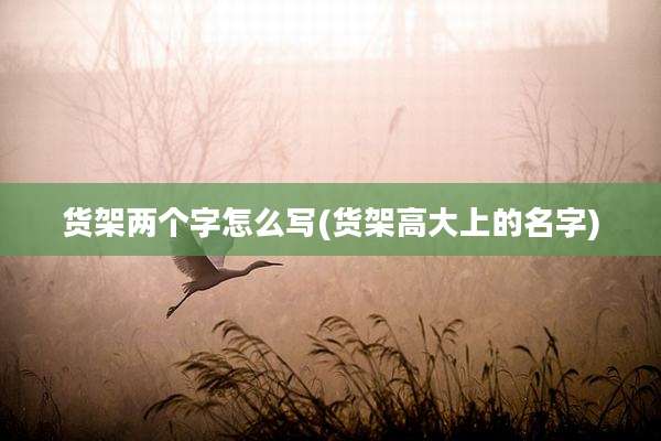 货架两个字怎么写(货架高大上的名字)