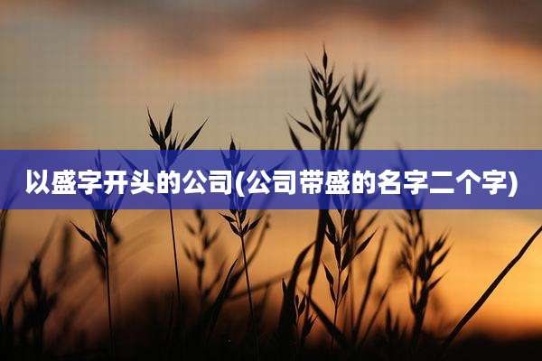 以盛字开头的公司(公司带盛的名字二个字)