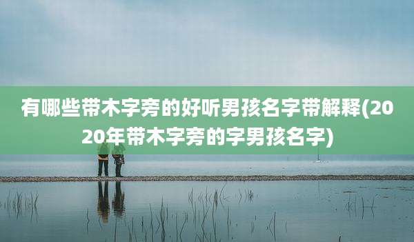 有哪些带木字旁的好听男孩名字带解释(2020年带木字旁的字男孩名字)