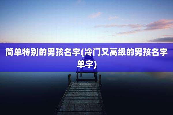 简单特别的男孩名字(冷门又高级的男孩名字单字)