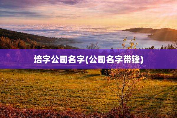 培字公司名字(公司名字带锋)