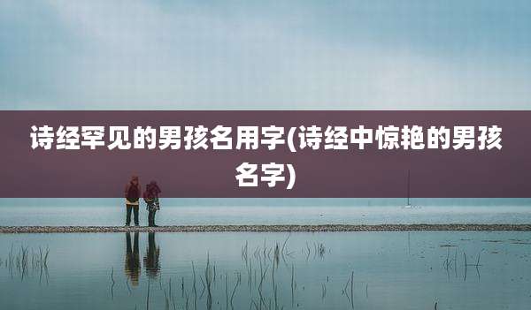 诗经罕见的男孩名用字(诗经中惊艳的男孩名字)