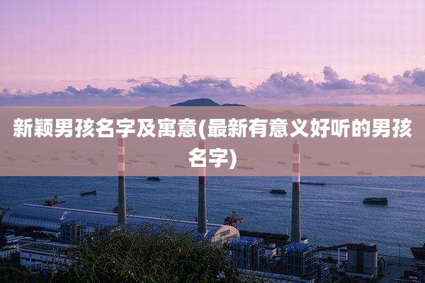 新颖男孩名字及寓意(最新有意义好听的男孩名字)