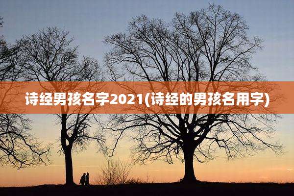 诗经男孩名字2021(诗经的男孩名用字)