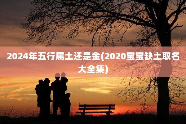 2024年五行属土还是金(2020宝宝缺土取名大全集)