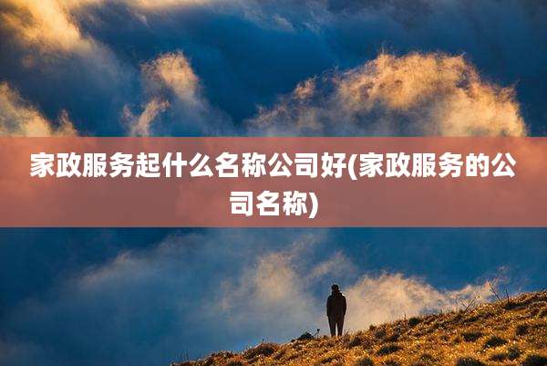 家政服务起什么名称公司好(家政服务的公司名称)
