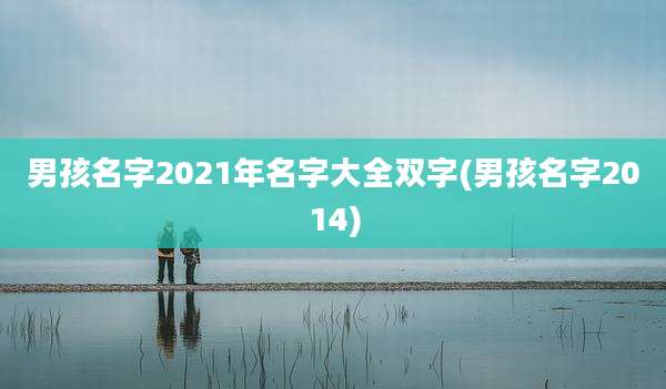 男孩名字2021年名字大全双字(男孩名字2014)