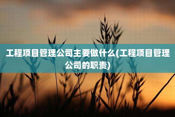 工程项目管理公司主要做什么(工程项目管理公司的职责)