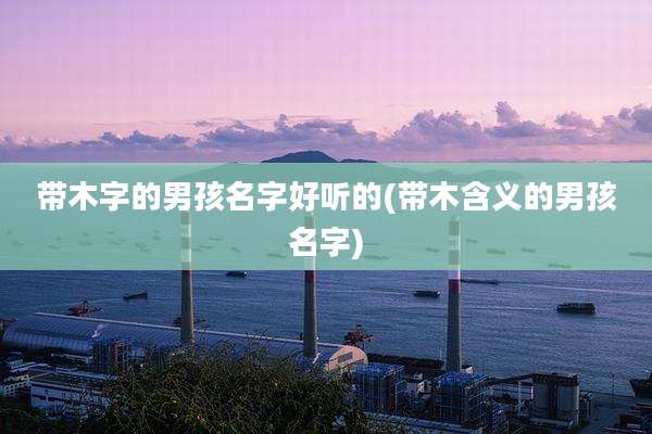 带木字的男孩名字好听的(带木含义的男孩名字)