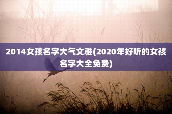2014女孩名字大气文雅(2020年好听的女孩名字大全免费)