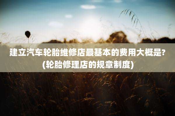 建立汽车轮胎维修店最基本的费用大概是?(轮胎修理店的规章制度)
