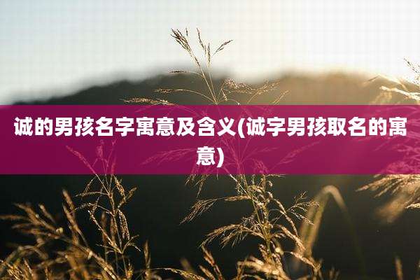 诚的男孩名字寓意及含义(诚字男孩取名的寓意)