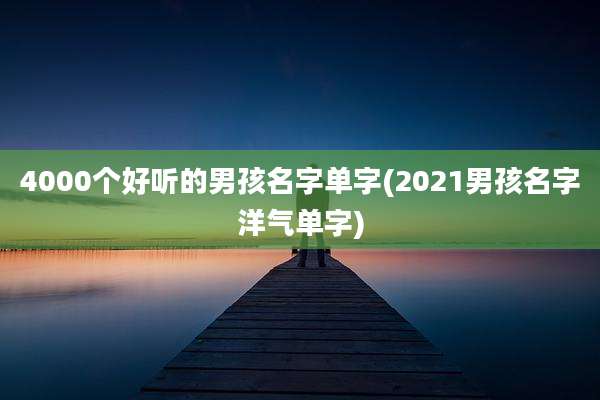 4000个好听的男孩名字单字(2021男孩名字洋气单字)