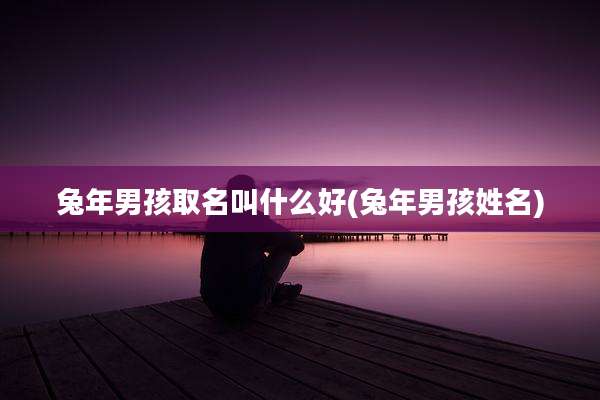 兔年男孩取名叫什么好(兔年男孩姓名)