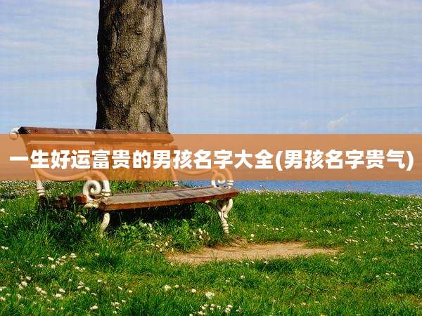 一生好运富贵的男孩名字大全(男孩名字贵气)