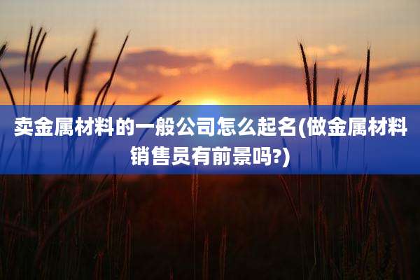 卖金属材料的一般公司怎么起名(做金属材料销售员有前景吗?)