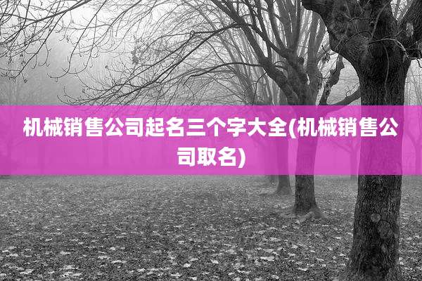 机械销售公司起名三个字大全(机械销售公司取名)