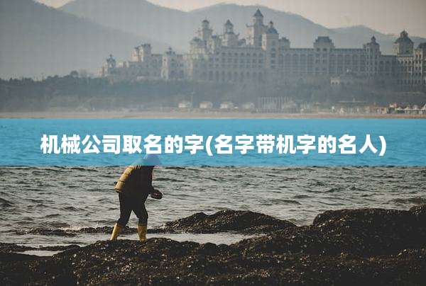 机械公司取名的字(名字带机字的名人)