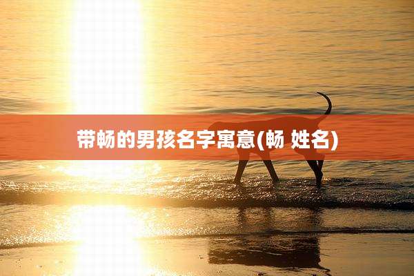 带畅的男孩名字寓意(畅 姓名)