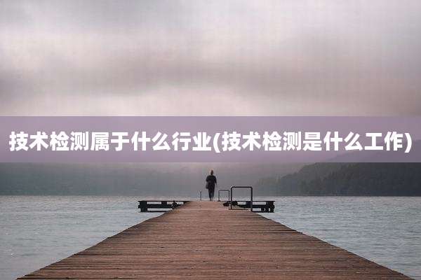 技术检测属于什么行业(技术检测是什么工作)