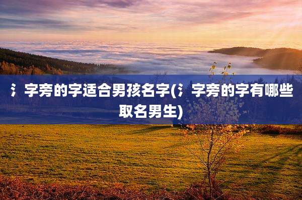 氵字旁的字适合男孩名字(氵字旁的字有哪些取名男生)
