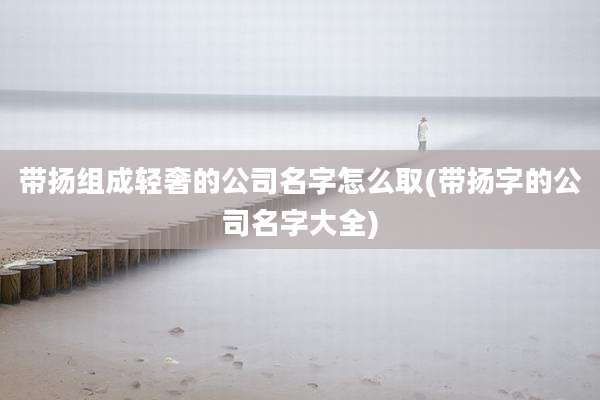 带扬组成轻奢的公司名字怎么取(带扬字的公司名字大全)