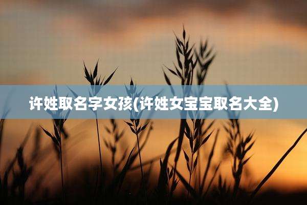 许姓取名字女孩(许姓女宝宝取名大全)