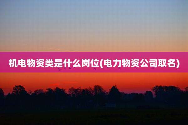 机电物资类是什么岗位(电力物资公司取名)
