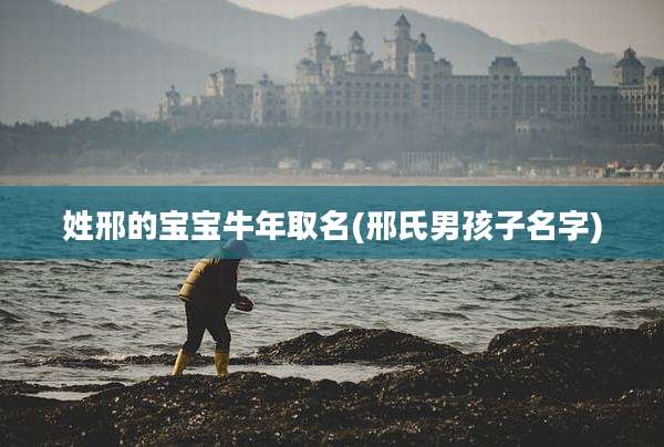 姓邢的宝宝牛年取名(邢氏男孩子名字)