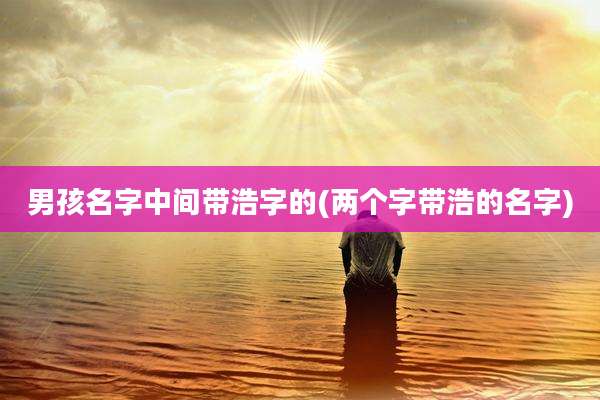 男孩名字中间带浩字的(两个字带浩的名字)