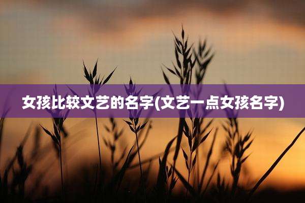 女孩比较文艺的名字(文艺一点女孩名字)